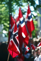 Image showing A forest of Norwegian flags.