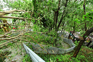 Image showing Damaged after typhoon