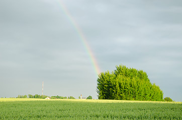 Image showing rainbow after rain over green field in summer  