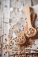 Image showing wheat grain in wooden spoons 