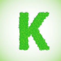 Image showing grass letter K