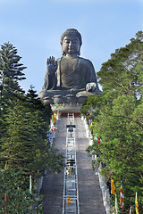 Image showing Giant Buddha Statue in Tian Tan