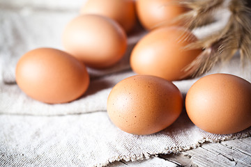 Image showing  fresh brown eggs and wheat ears 