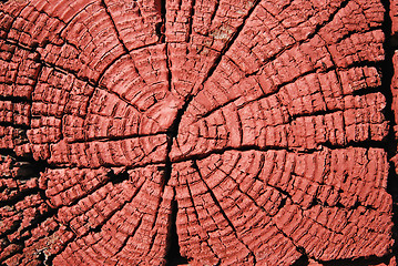 Image showing Wooden Log Texture