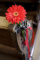 Image showing Bridal bouquet