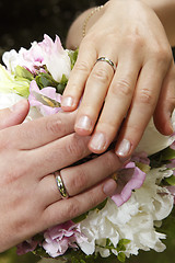 Image showing Hands of a bride and groom