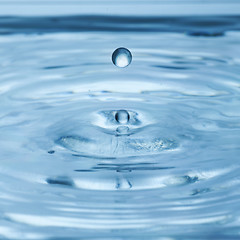 Image showing water drops