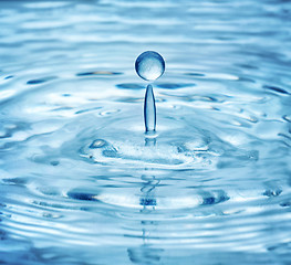 Image showing water drops