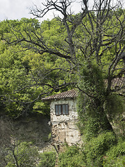 Image showing abandoned old house