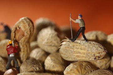 Image showing Plastic People Working on Peanuts