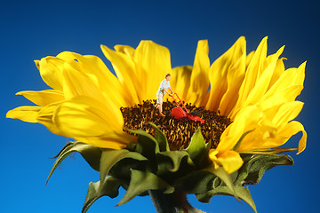 Image showing Plastic Person Mowing Grass on a Sunflower 