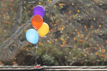 Image showing Balloons Outdoors at a Celebration with Copy Space