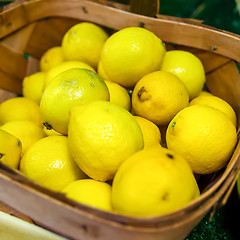 Image showing Colorful Display Of Lemons In Market in a basket