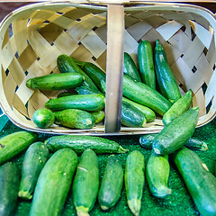 Image showing Fresh healthy green zucchini courgettes in basket on the marketp