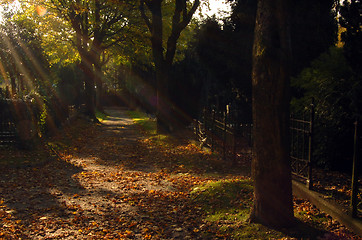 Image showing churchyard