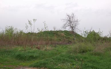 Image showing Earth mound