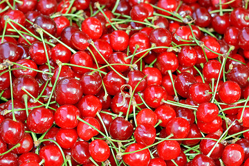 Image showing Cherry