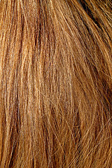 Image showing Natural blonde