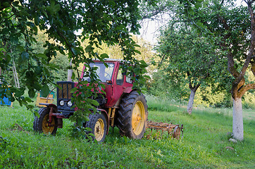 Image showing tractor with harrow the garden apple trees in yard 