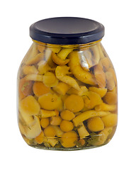 Image showing jar canned honey fungus isolated white background 