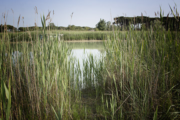 Image showing Fishing shack on sea channel