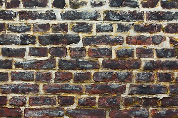 Image showing Brick Wall