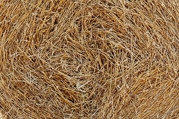 Image showing Haystack