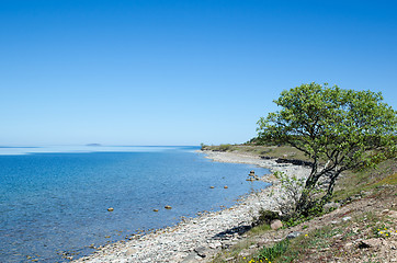 Image showing Peaceful coastline with clear blue and calm water