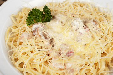 Image showing Pasta carbonara