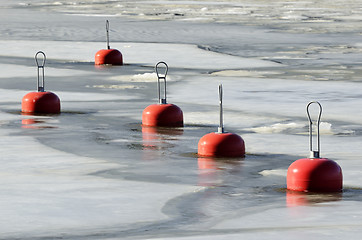 Image showing red buoys in the frozen water