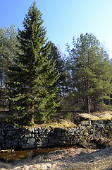 Image showing abandoned channel ancient canal in the forest