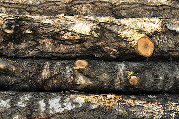 Image showing stack of wood felled birch logs