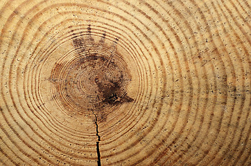 Image showing wooden circle with a split cut