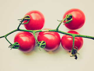 Image showing Retro look Tomatoes
