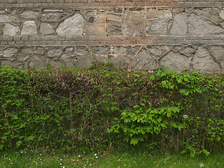 Image showing Wall background