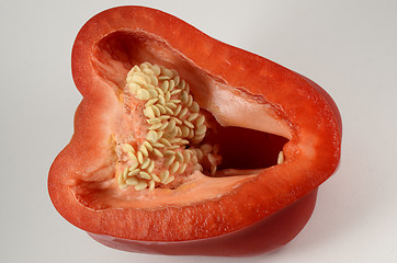 Image showing half a pod of red pepper