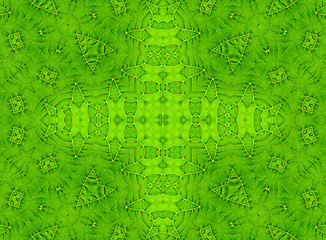 Image showing Green leaf abstract pattern