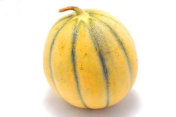 Image showing Melon