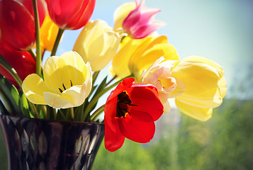 Image showing Bouquet of colorful spring tulips in a vase