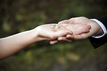 Image showing Hands of a bride and groom