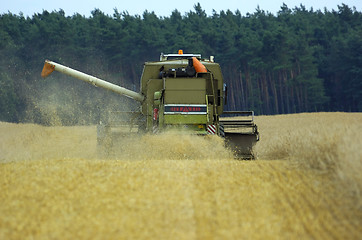 Image showing corn earning time