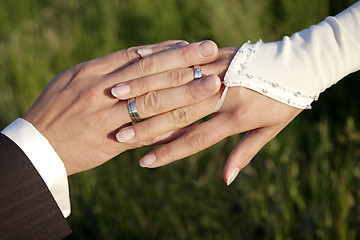 Image showing Hands of a bride and groom