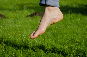 Image showing Dewy water drops on wet foot in morning meadow 