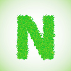 Image showing grass letter N