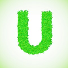 Image showing grass letter U