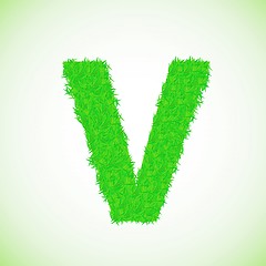 Image showing grass letter V