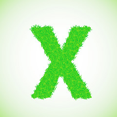 Image showing grass letter X