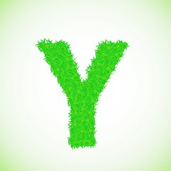 Image showing grass letter Y