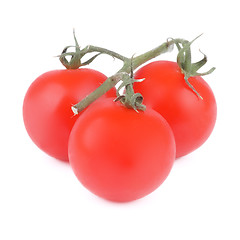 Image showing Tomatoes with Twigs