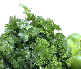 Image showing Parsley